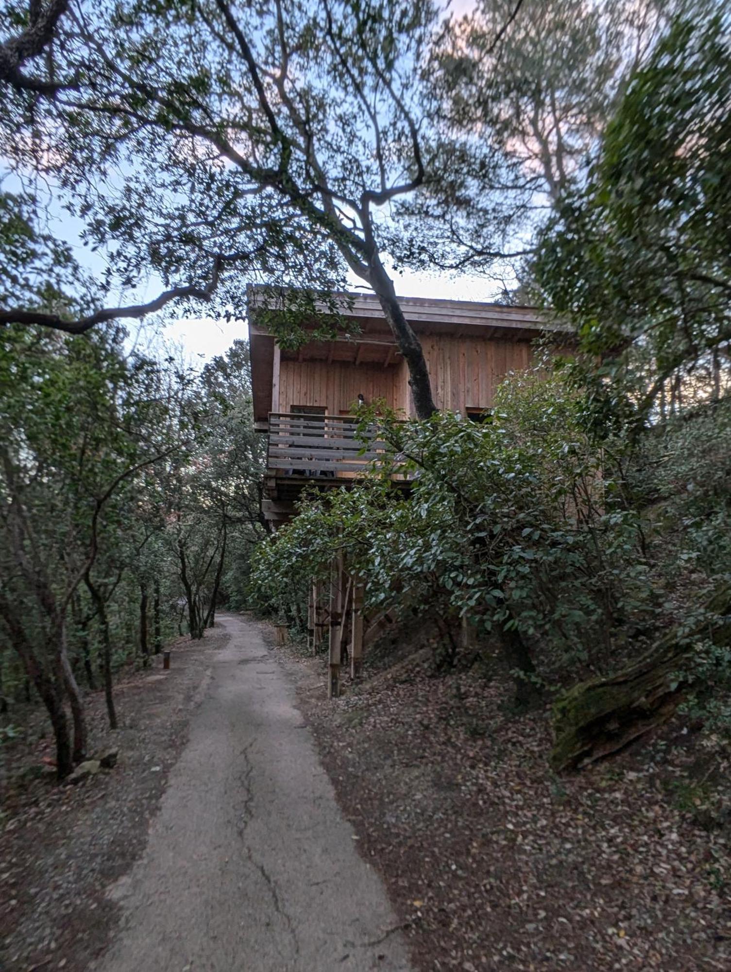 Les Cabanes Dans Les Bois Logis Hotel Villedubert Экстерьер фото